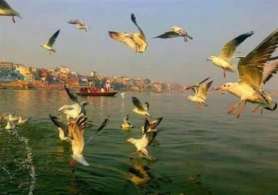 Shiva Ganges View Guest House Váránaszi Kültér fotó